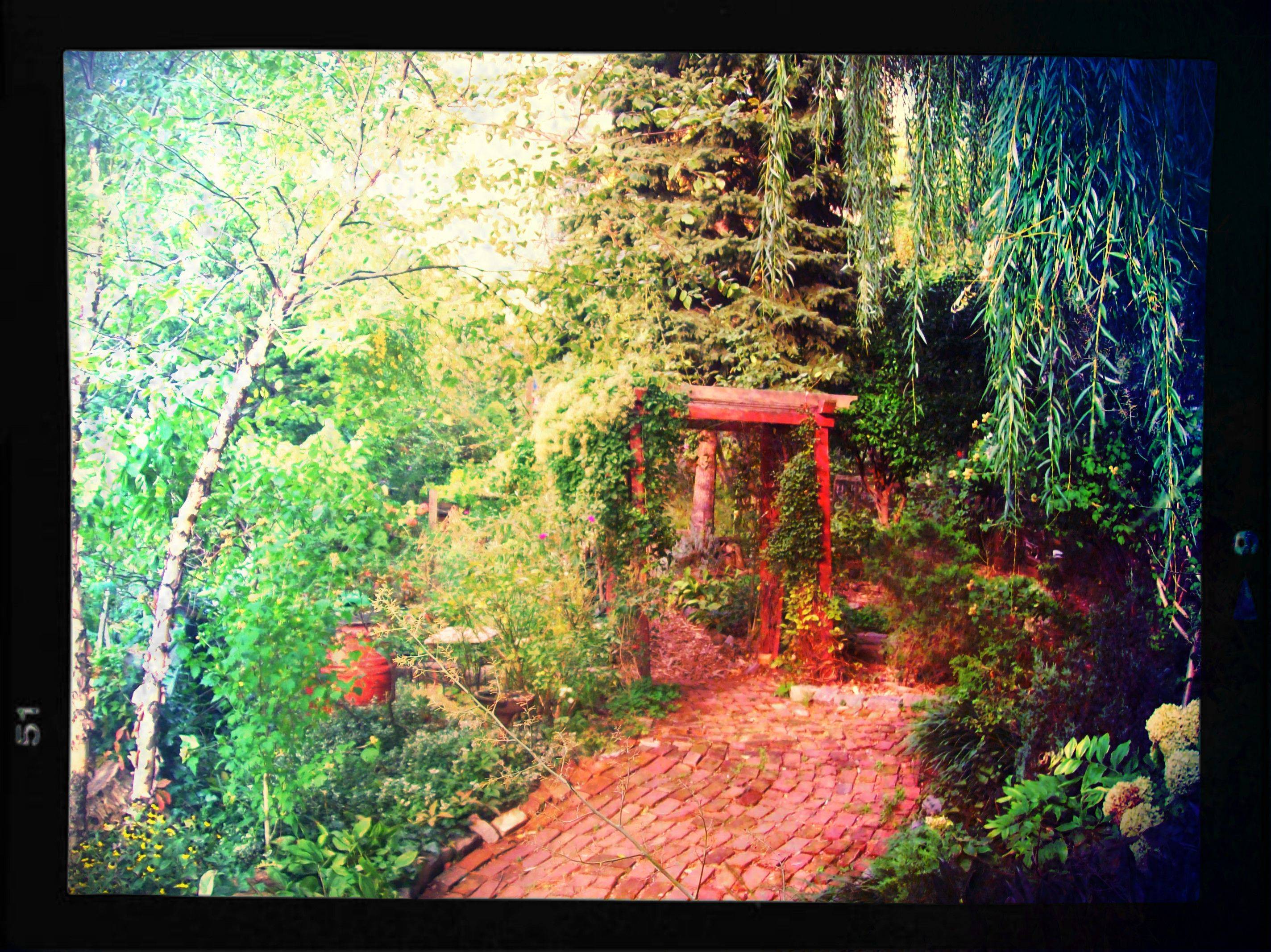 Butchart Gardens Garden