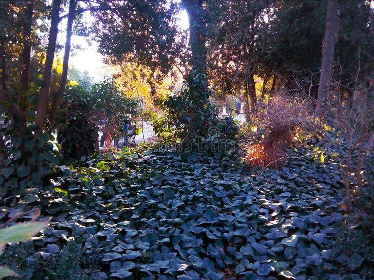 Garden Centre Heaven Garden Center