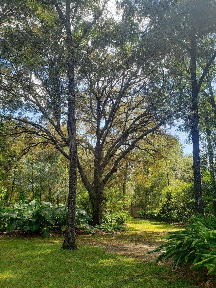 Earthly Paradise Saga