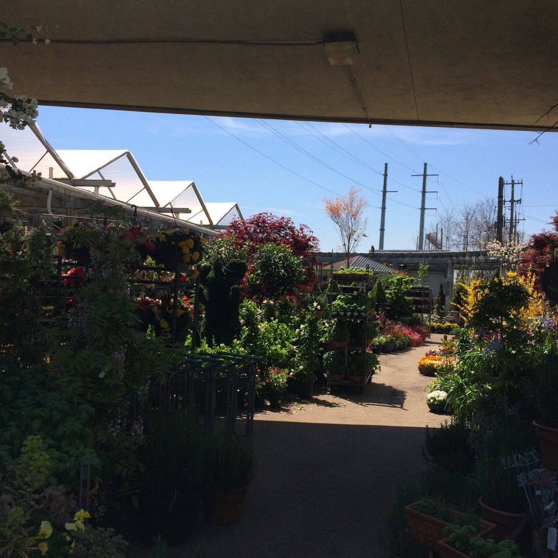 Untermeyer Gardens Persian Garden