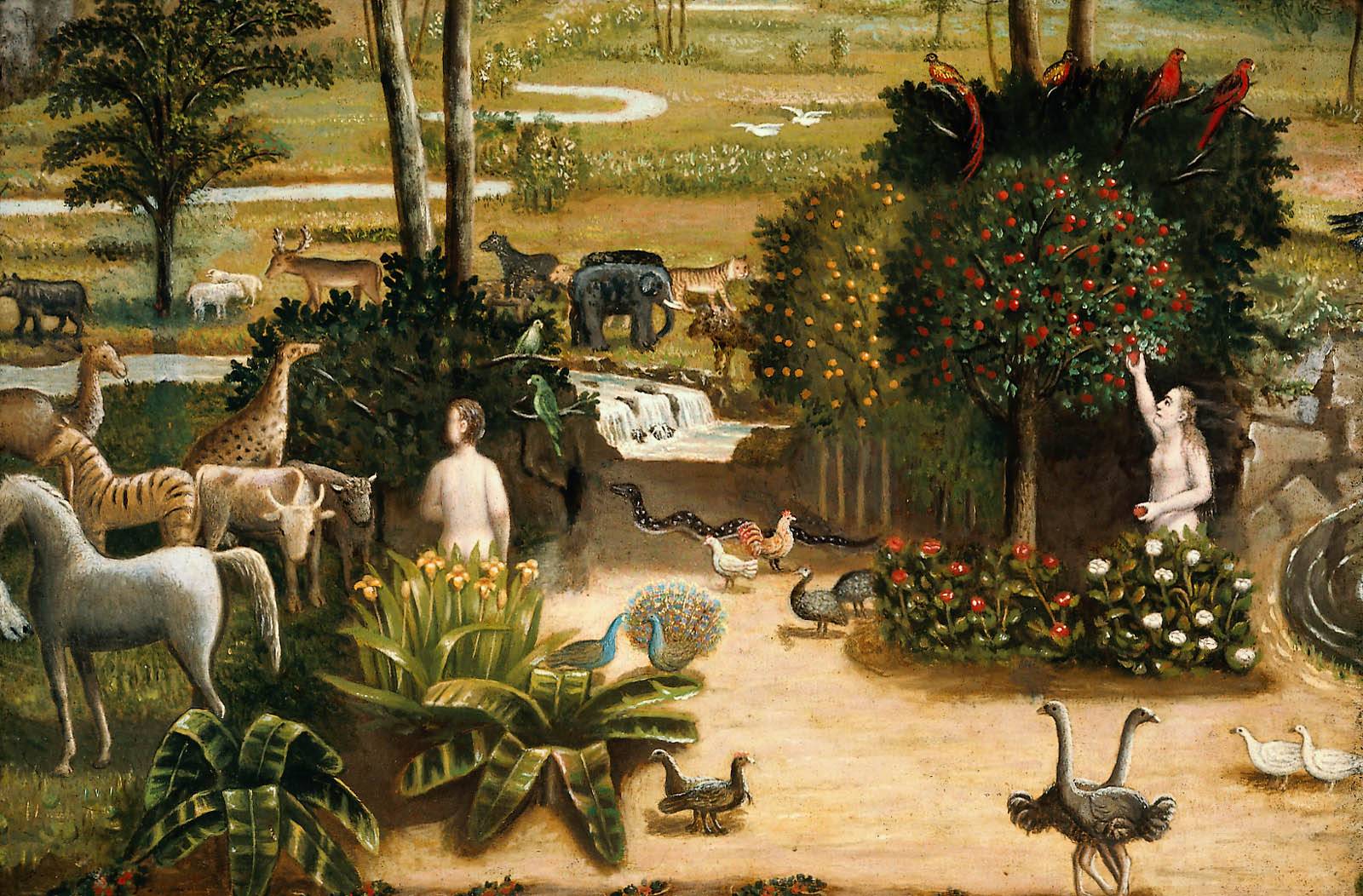 Night Garden Illustration