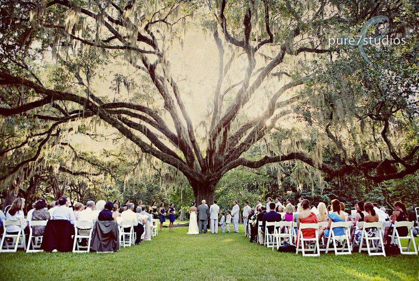Organic Eden Gardens Wedding Garden Wedding