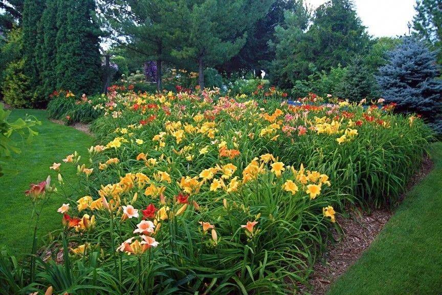 Beautiful Long Driveway Landscaping Design Ideas