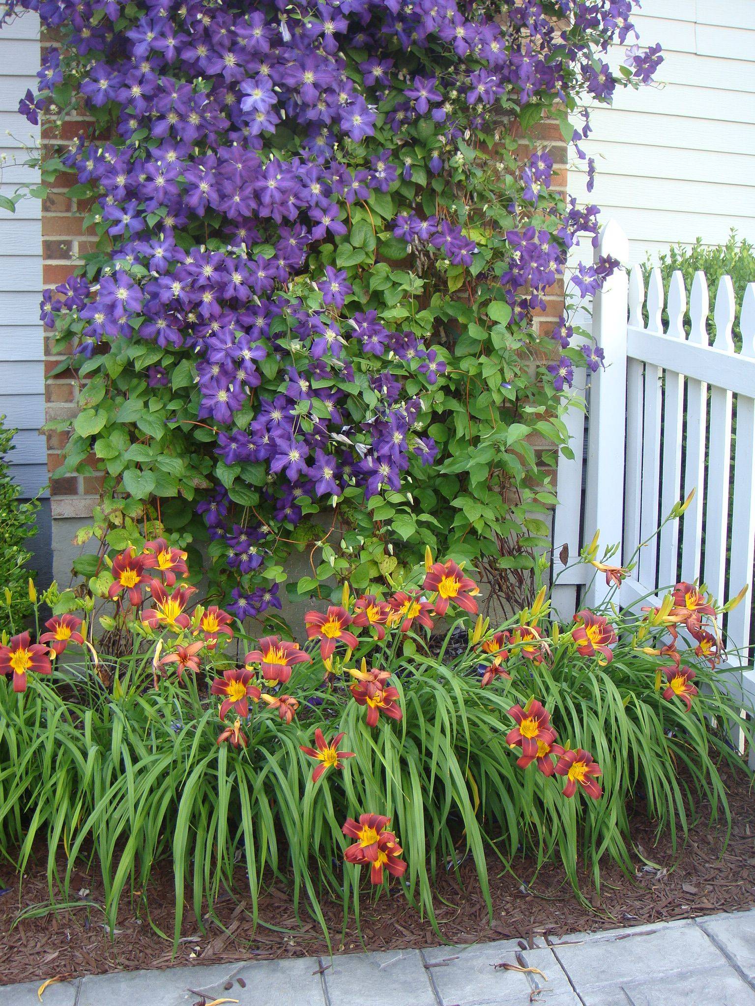 Your Daylily Garden