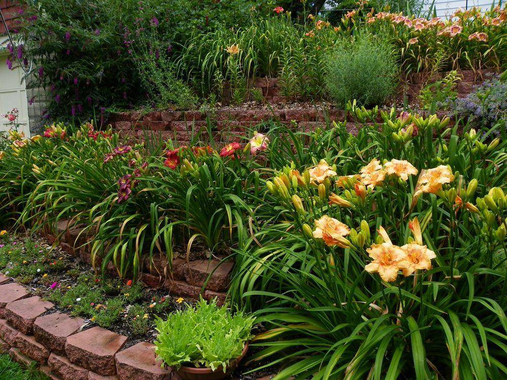 Beautiful And Undemanding Garden Design Ideas