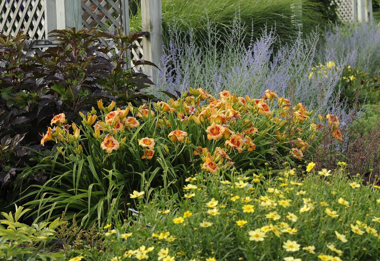 A Cottage Garden Gardenorg