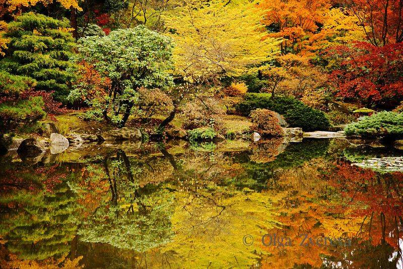 Perfect Japanese Gardens