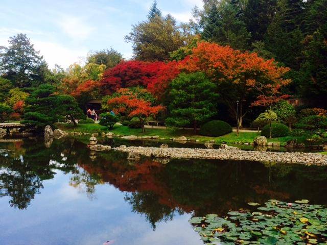 Japanese Garden