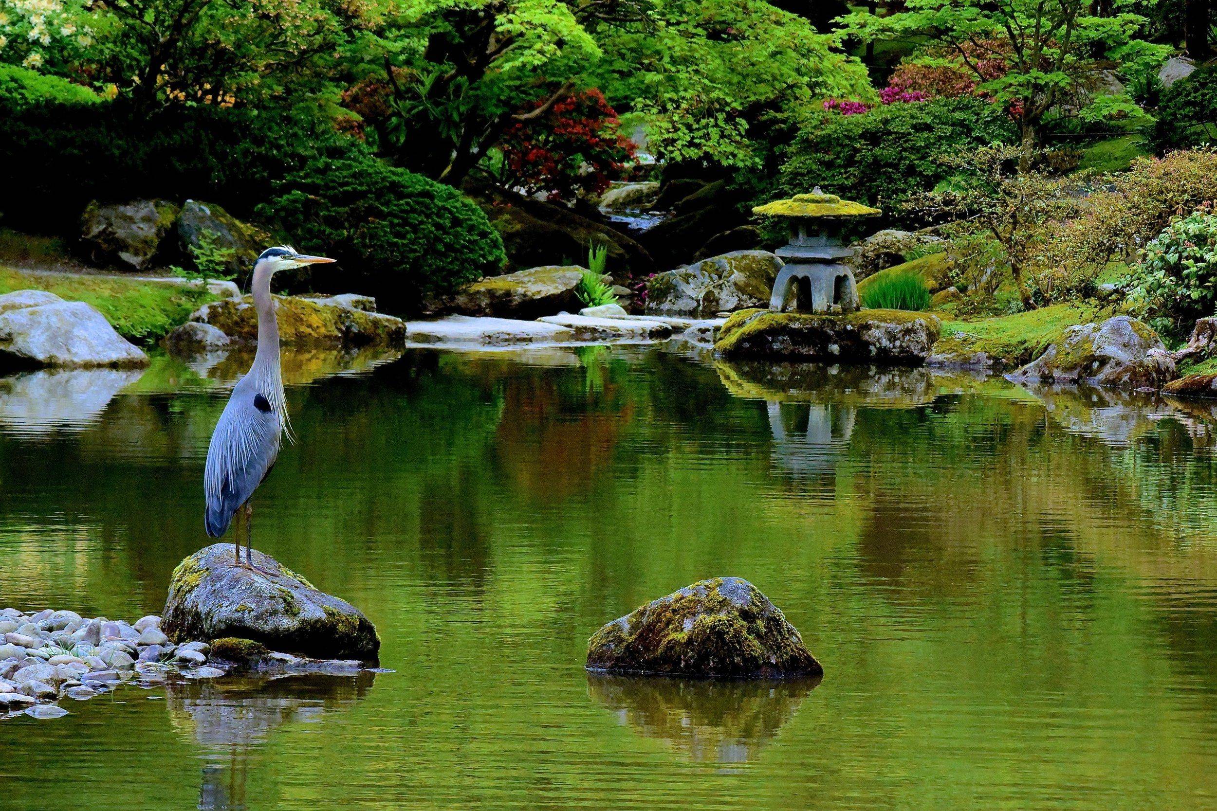 Japanese Garden