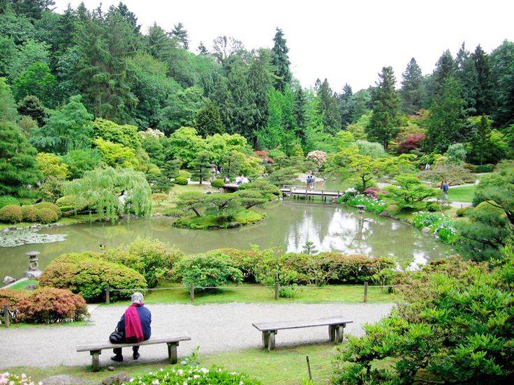 Japanese Maple Rock Garden