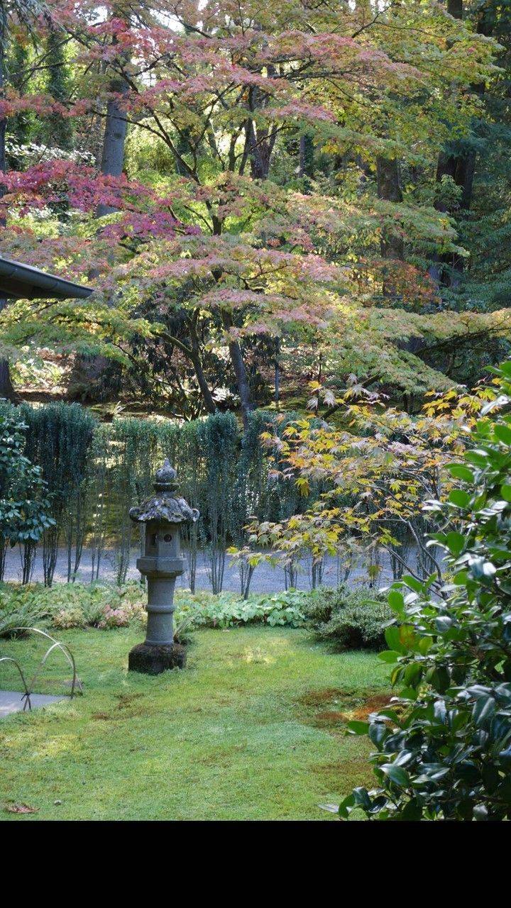 20 Japanese Garden Seattle Washington Ideas You Must Look SharonSable