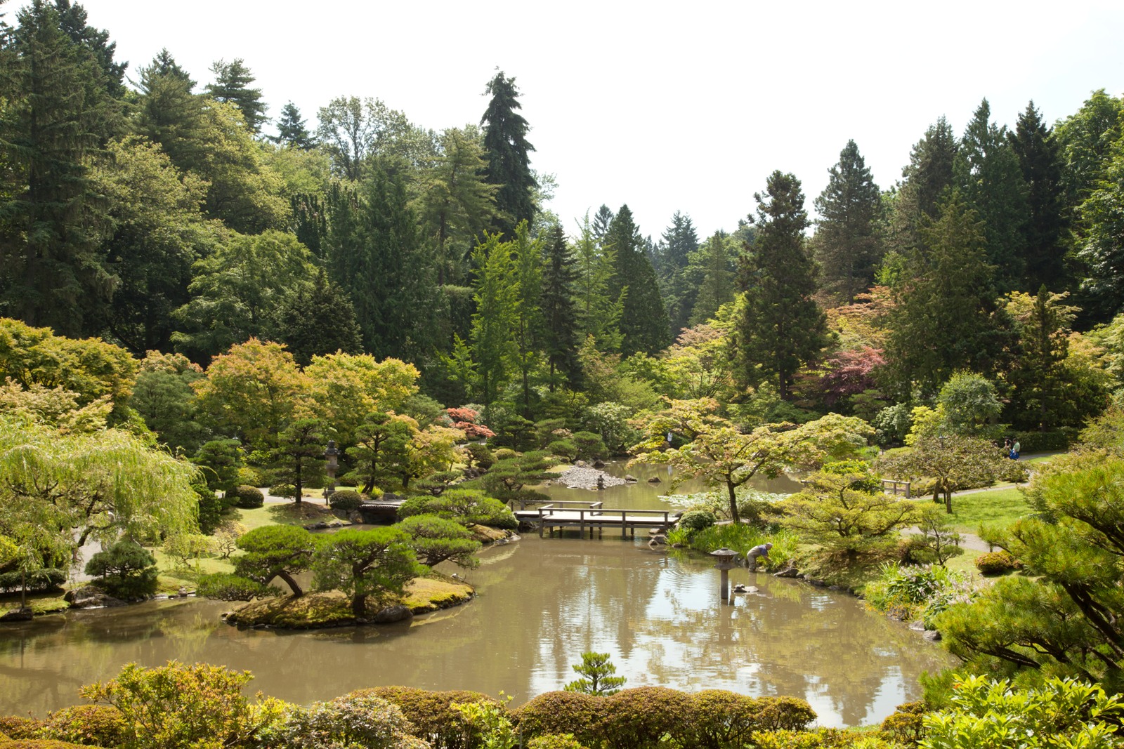 Seattle Japanese Gardens