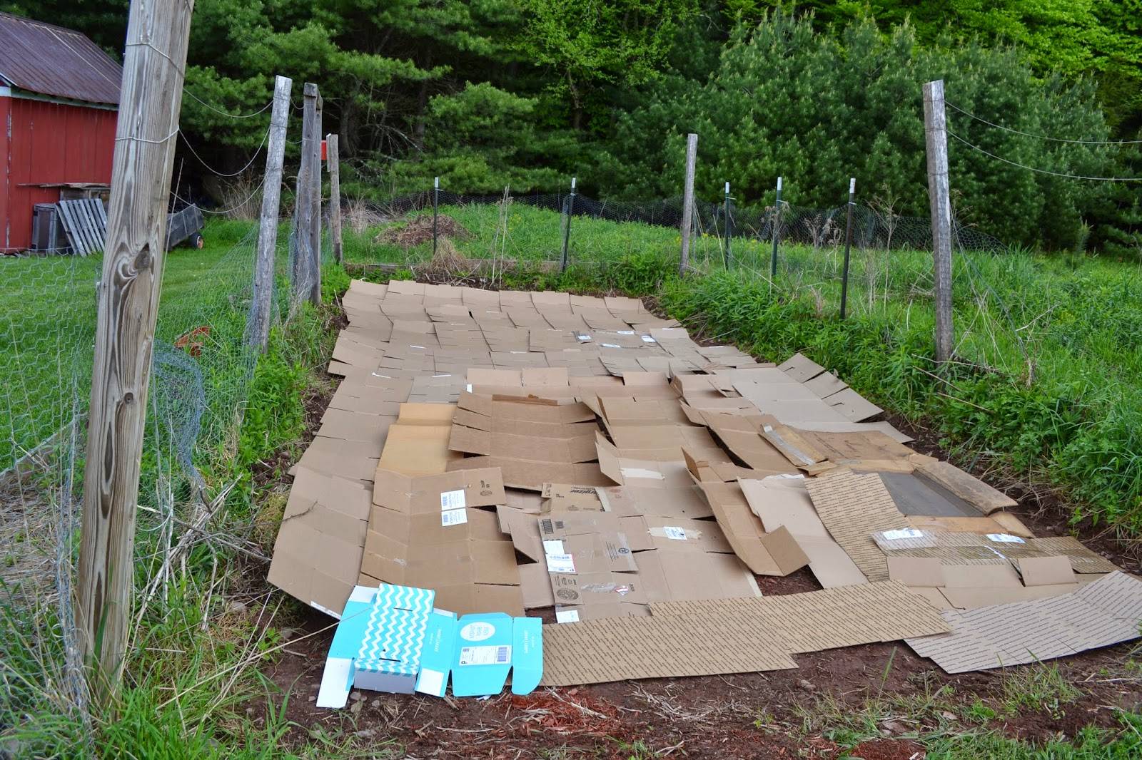 Before You Build Raised Beds For Gardening