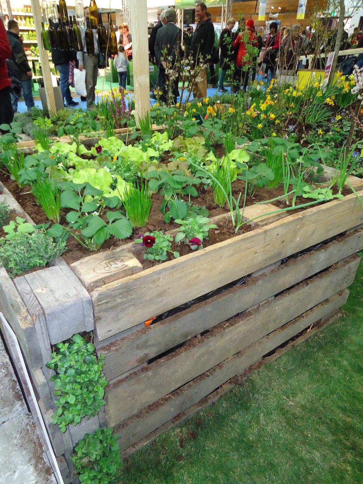 19 Raised Bed Garden Cardboard Ideas To Consider SharonSable