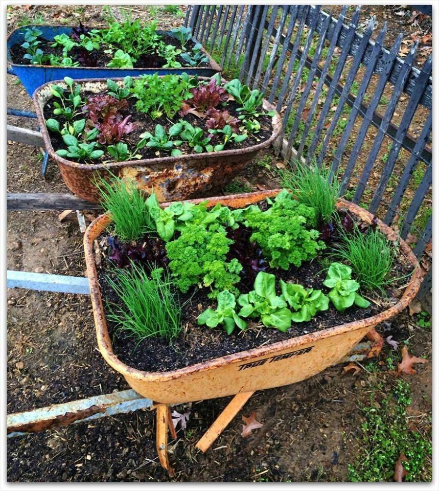 Diy Raised Garden Bed Ideas