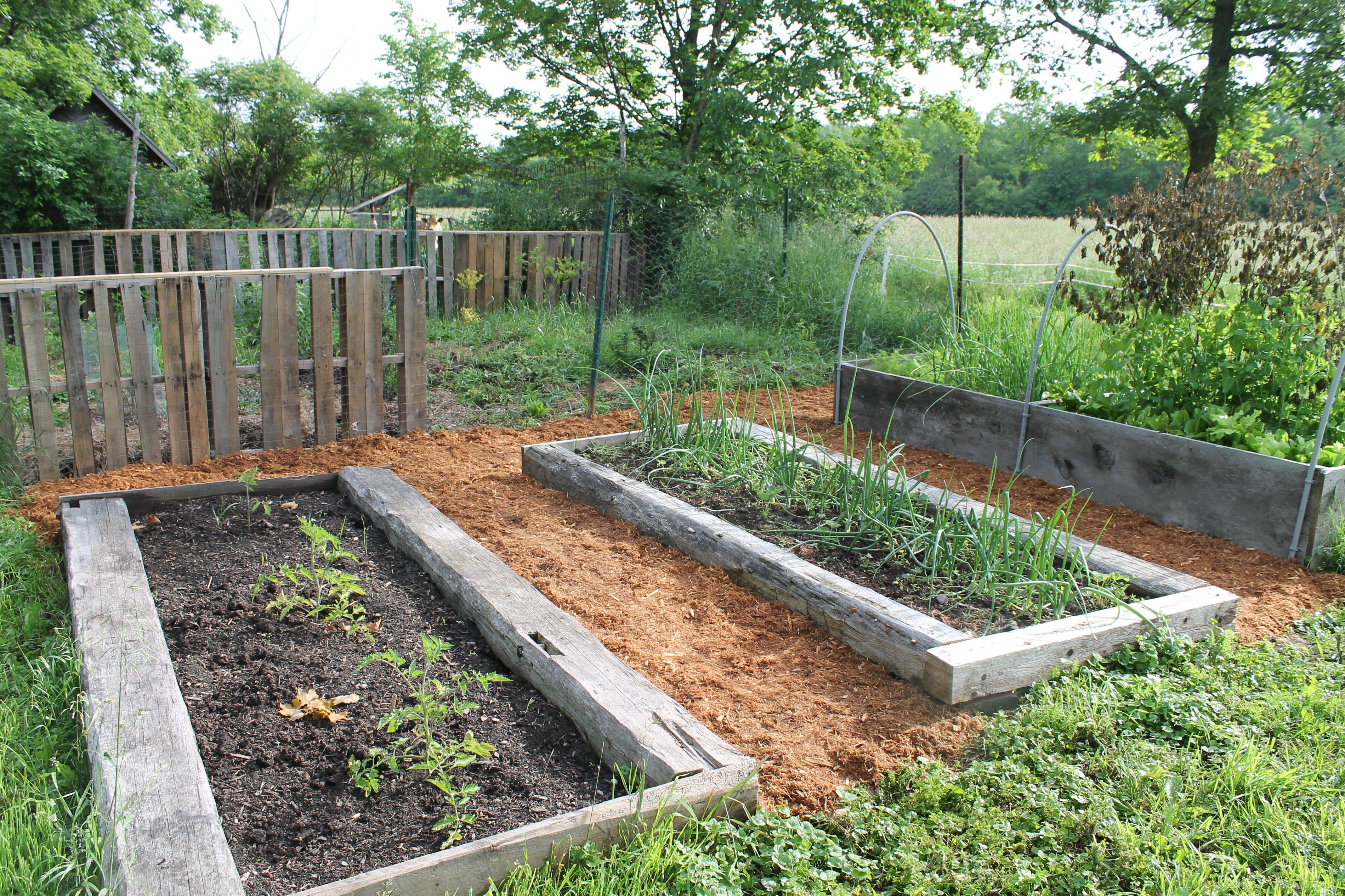 Garden Edging Landscape Ideas