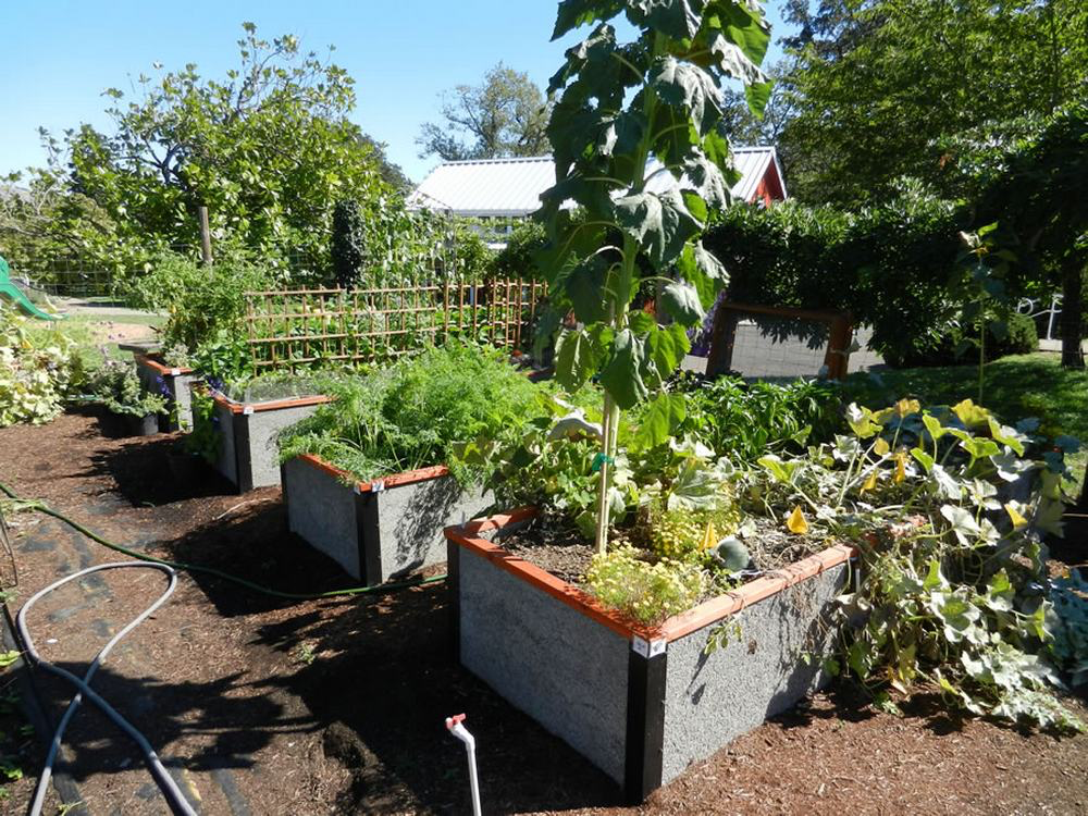Raised Bed Vegetable Gardens Traditional Landscape Providence