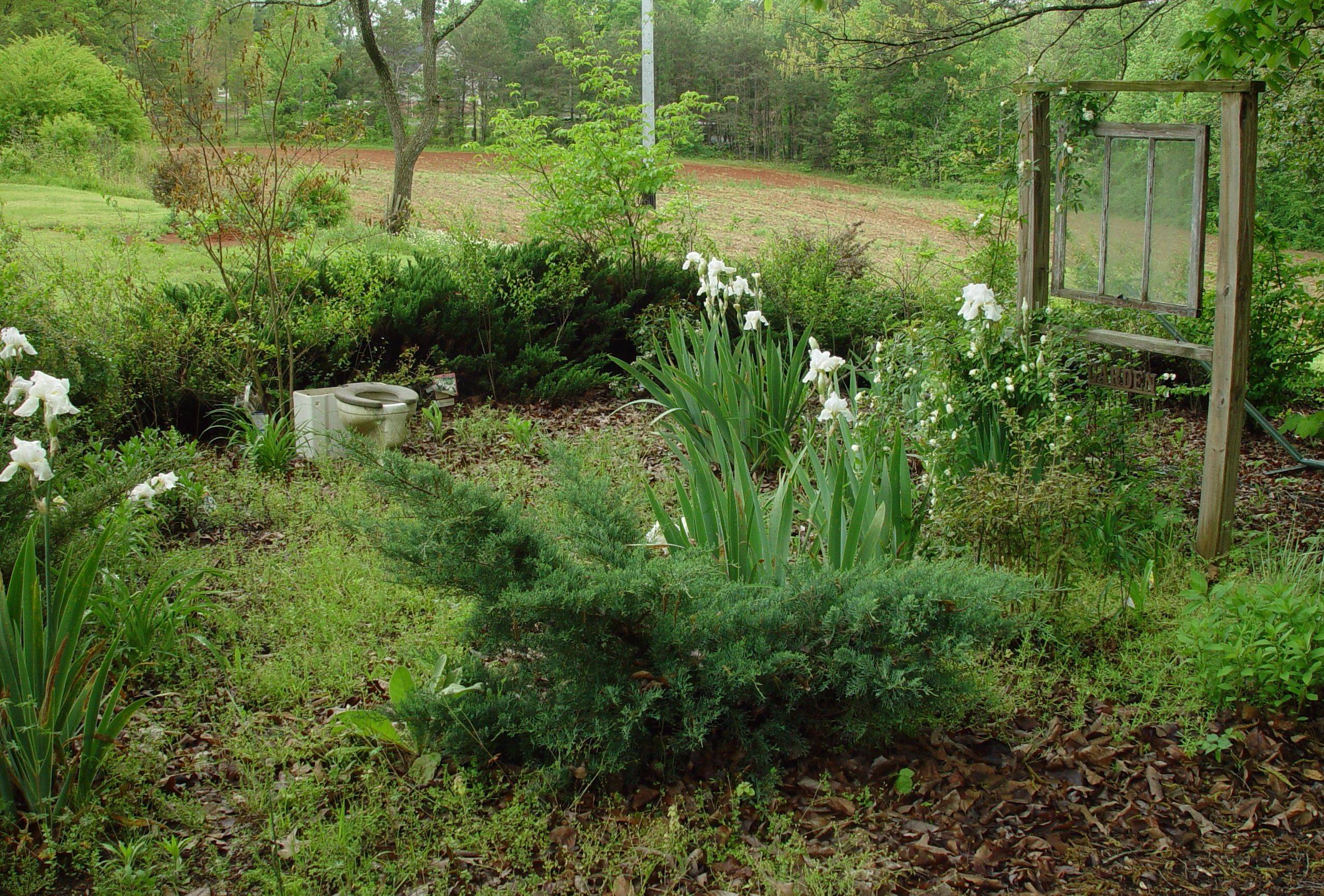 Rosechuu White Gardens