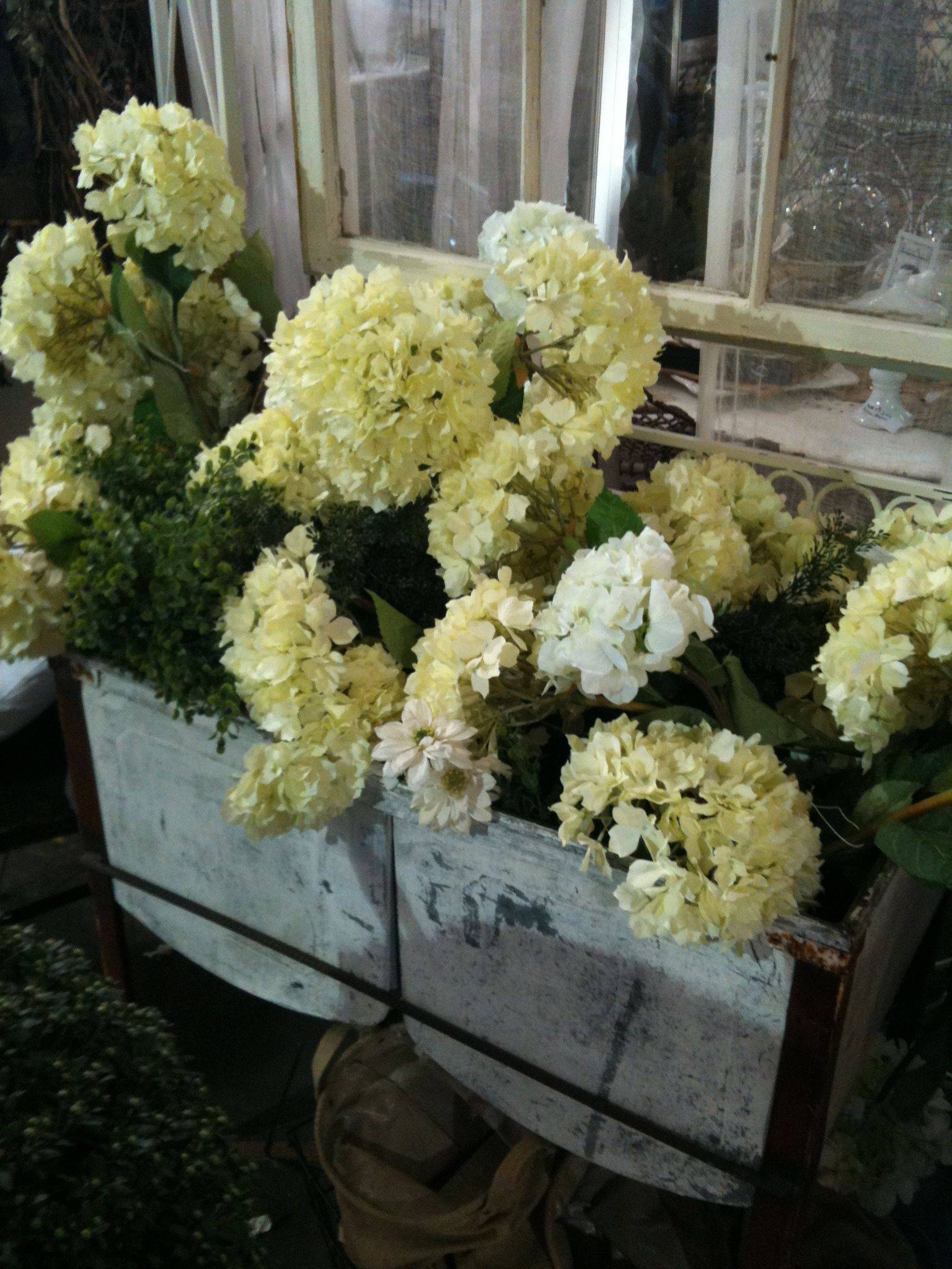 Beautiful Moon Garden