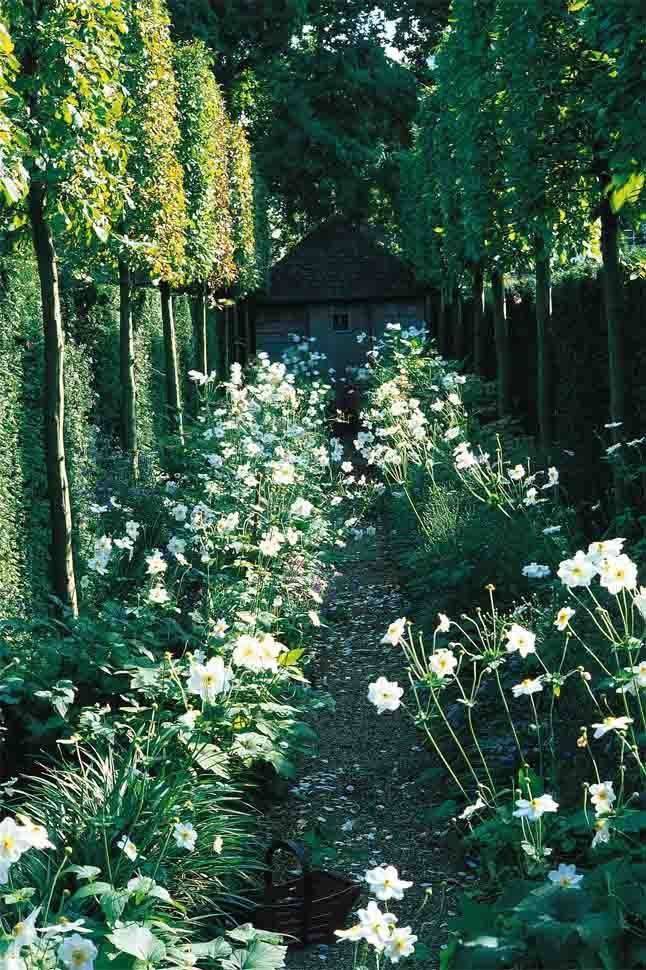 Garden Designs Ideas