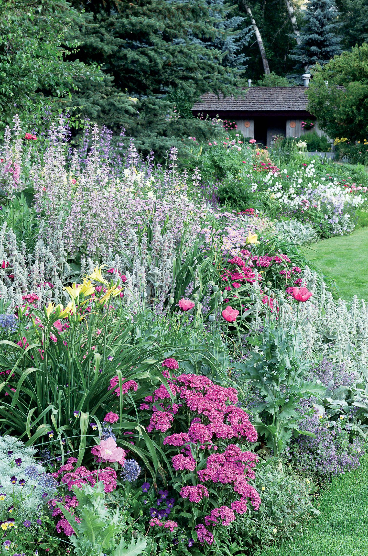 20 White Flower Garden Border Ideas To Consider SharonSable