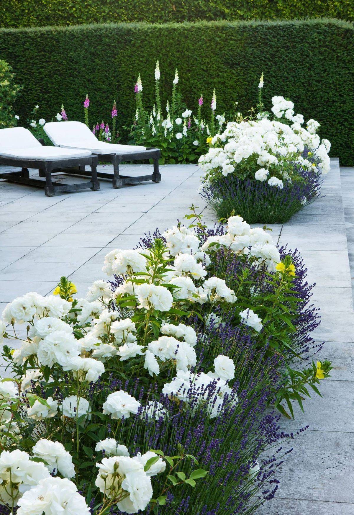Blue And White Garden Design Ideas Gardening