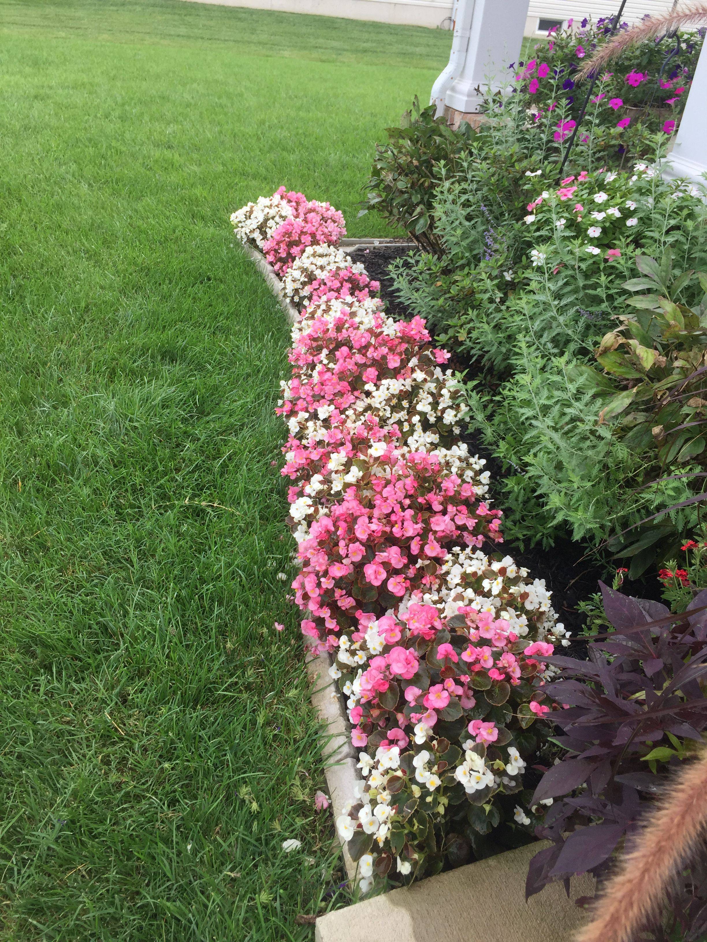 White Garden