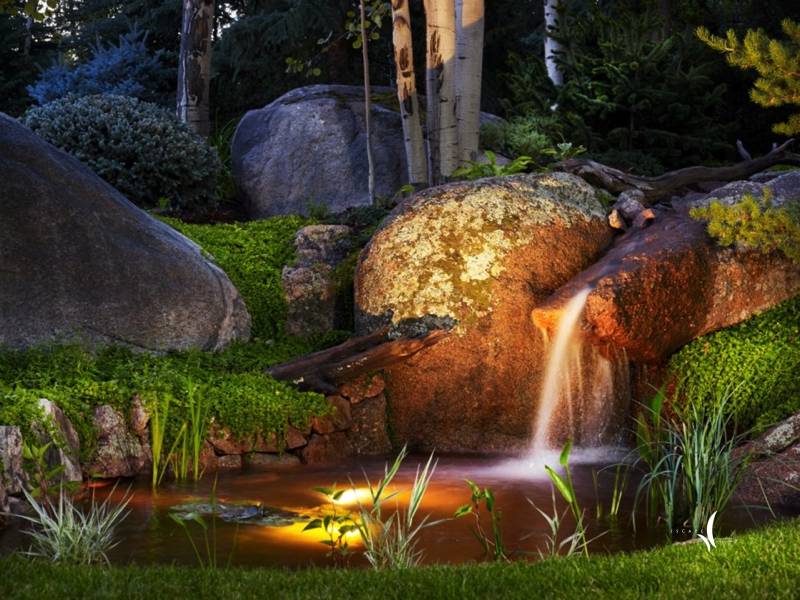Lights Mystical Gardens