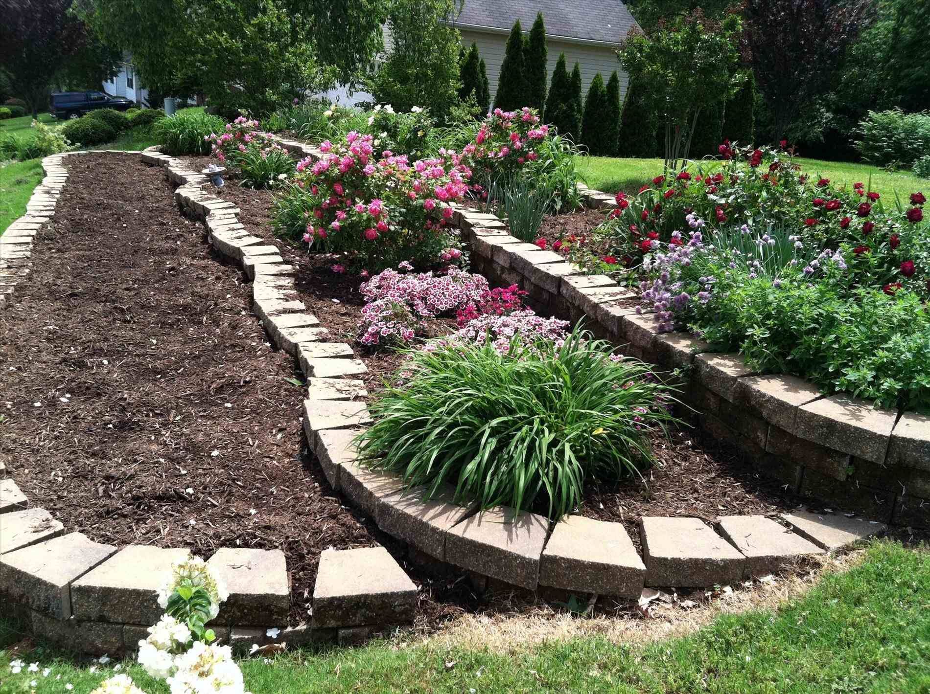 A Budget Garden Design Pictures