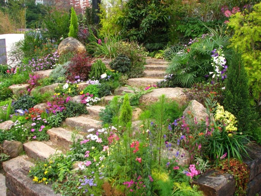 Tiered Landscape
