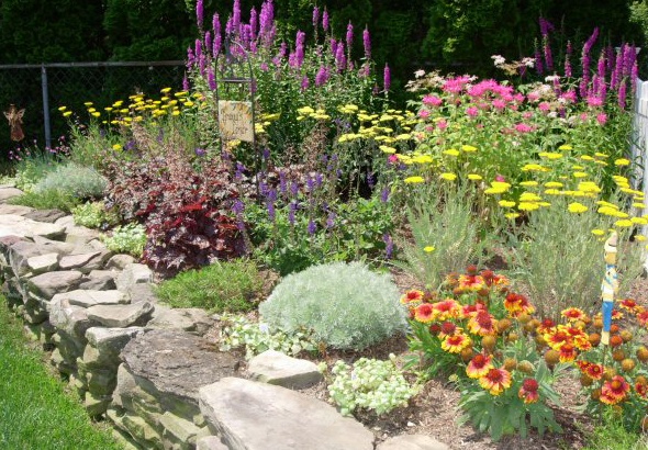 A Short Ground Cover
