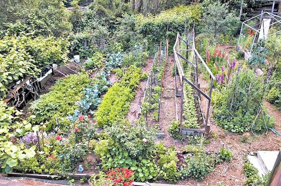 A Steep Hillside Garden Outdoor Spaces Vermont Landscape