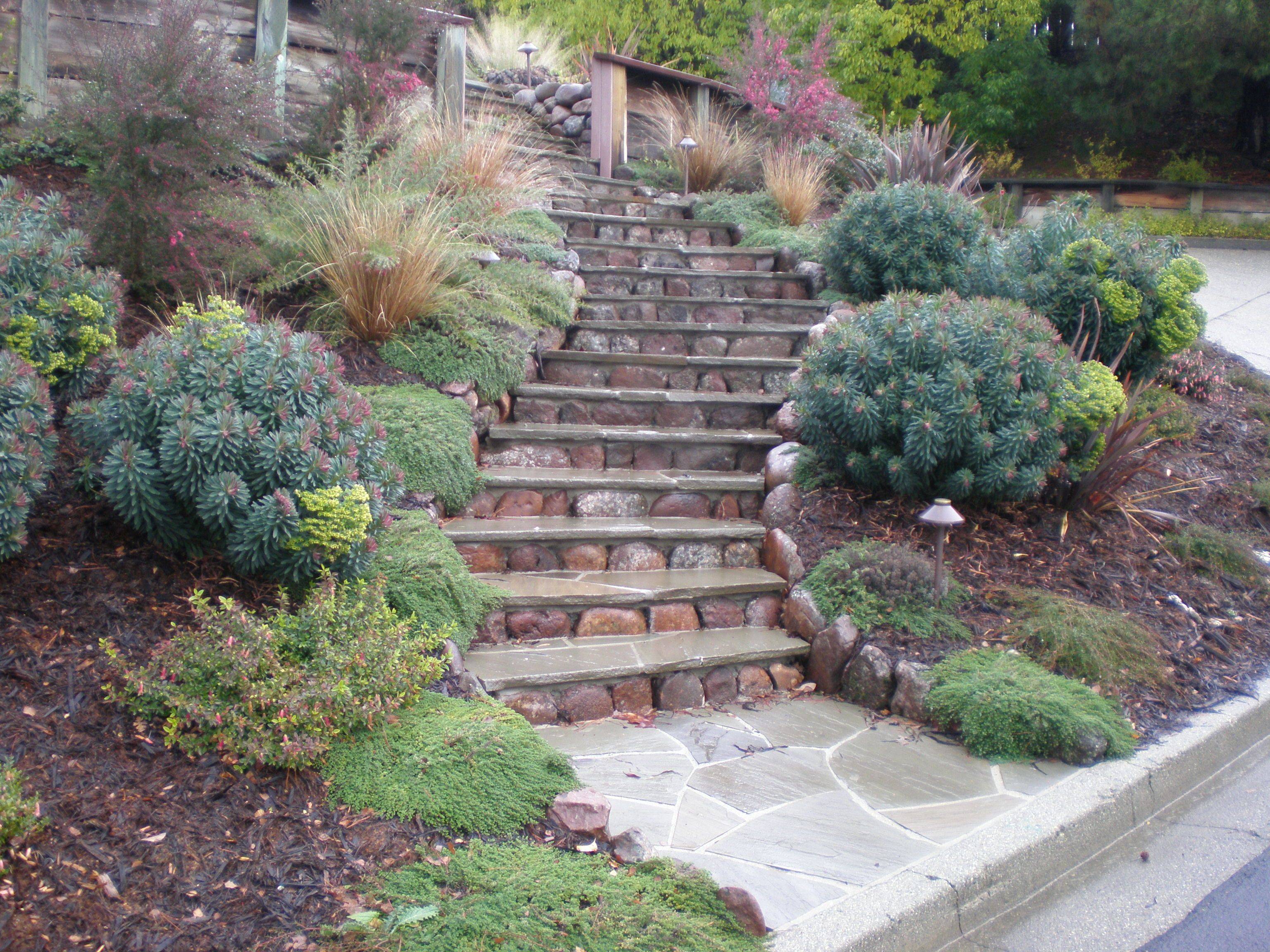 A Sloped Yard Sloped Garden