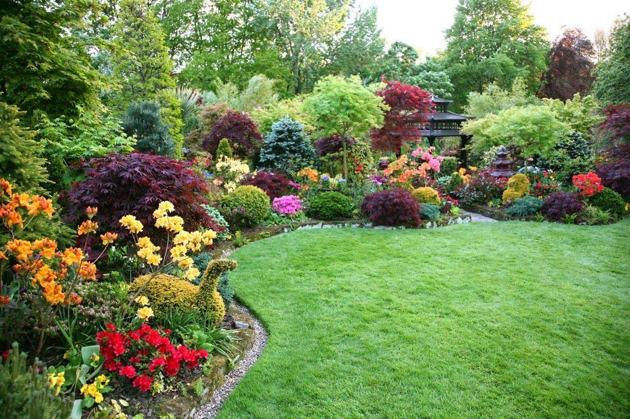 A Beautiful Hillside Garden