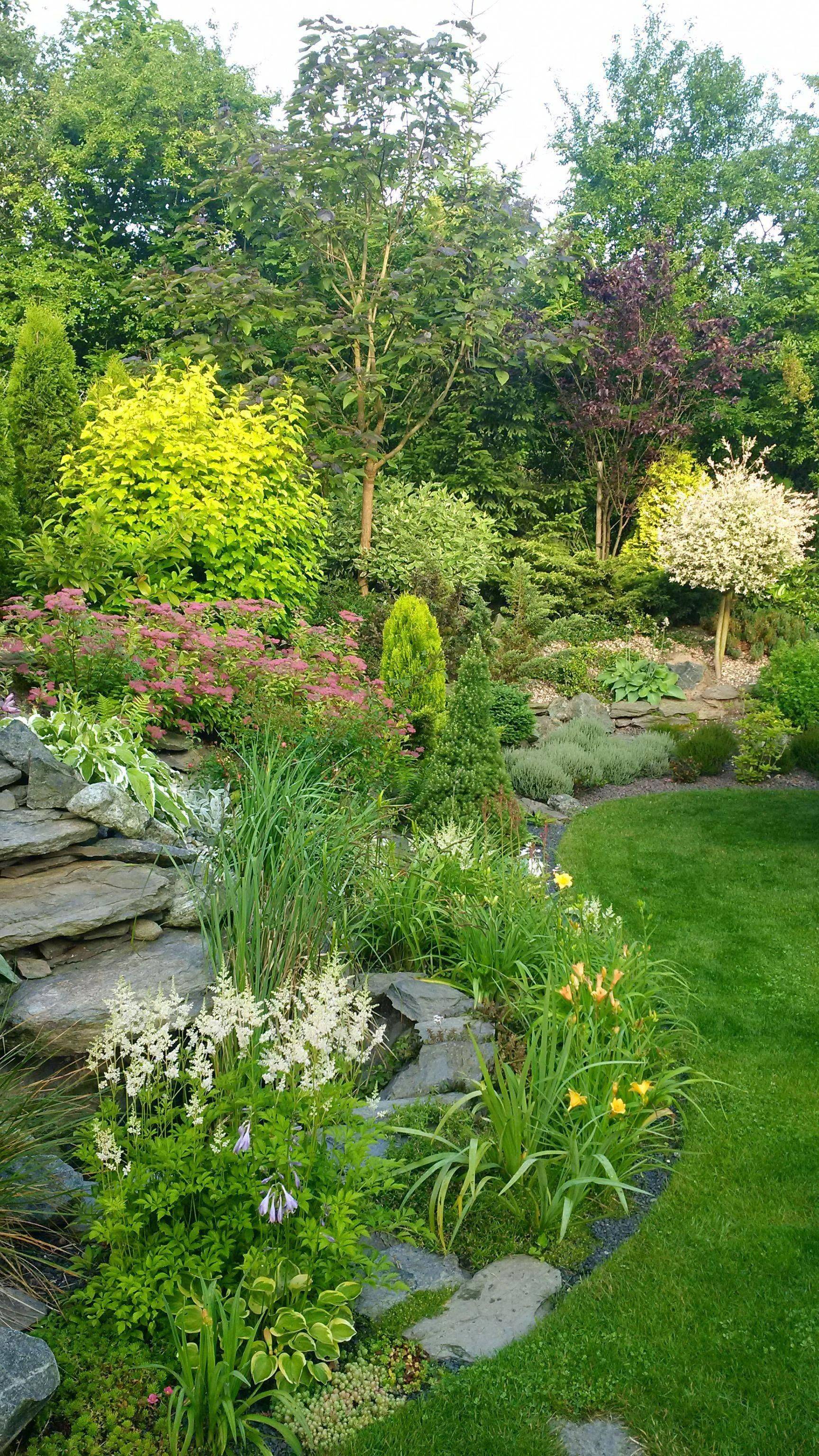 Hillside Garden