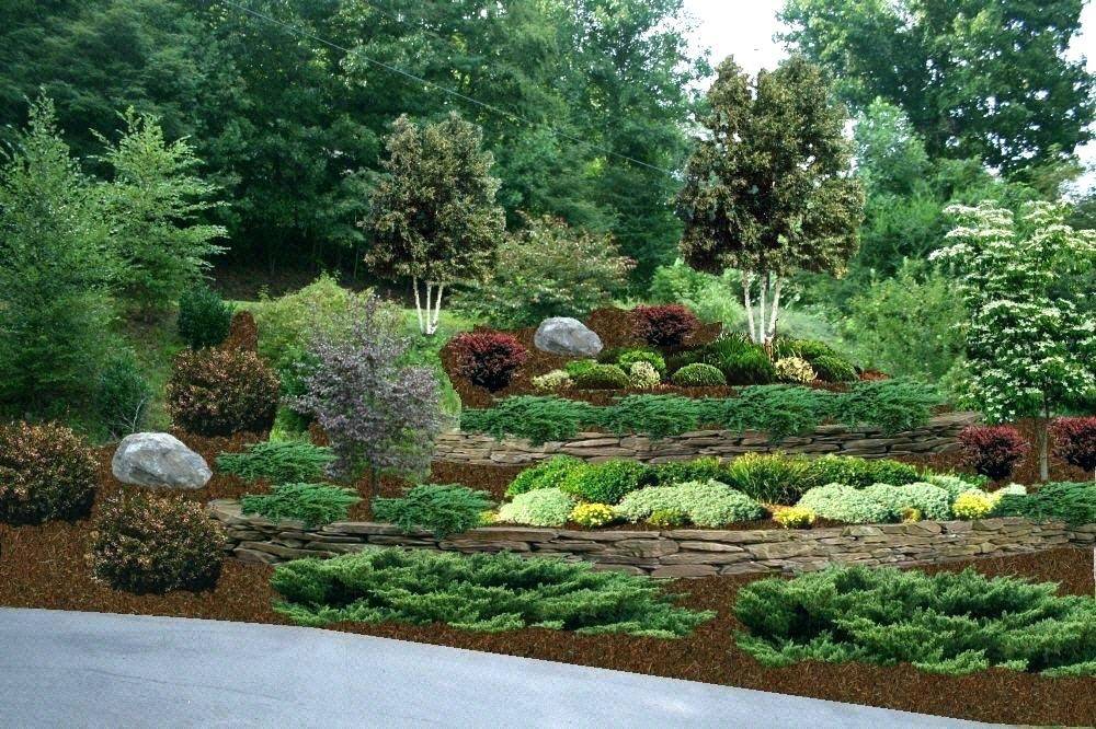 Diy Landscaping Ideas Backyard Hill