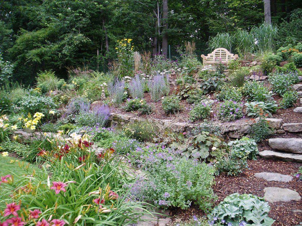 Hillside Landscaping Tips