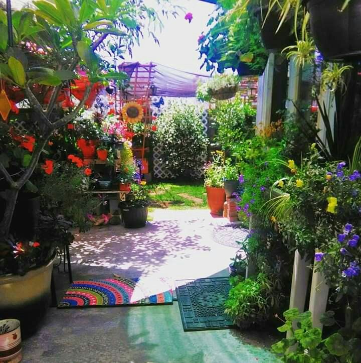 Your Garden