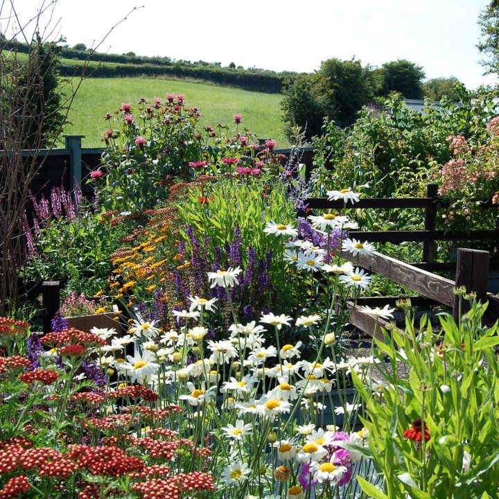 Your Garden