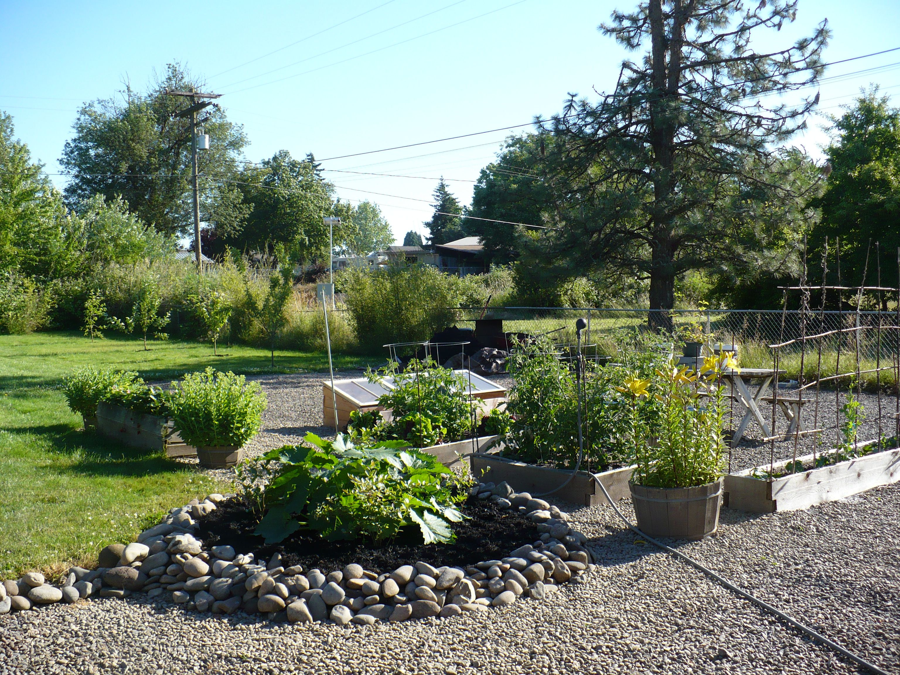 Backyard Garden Love