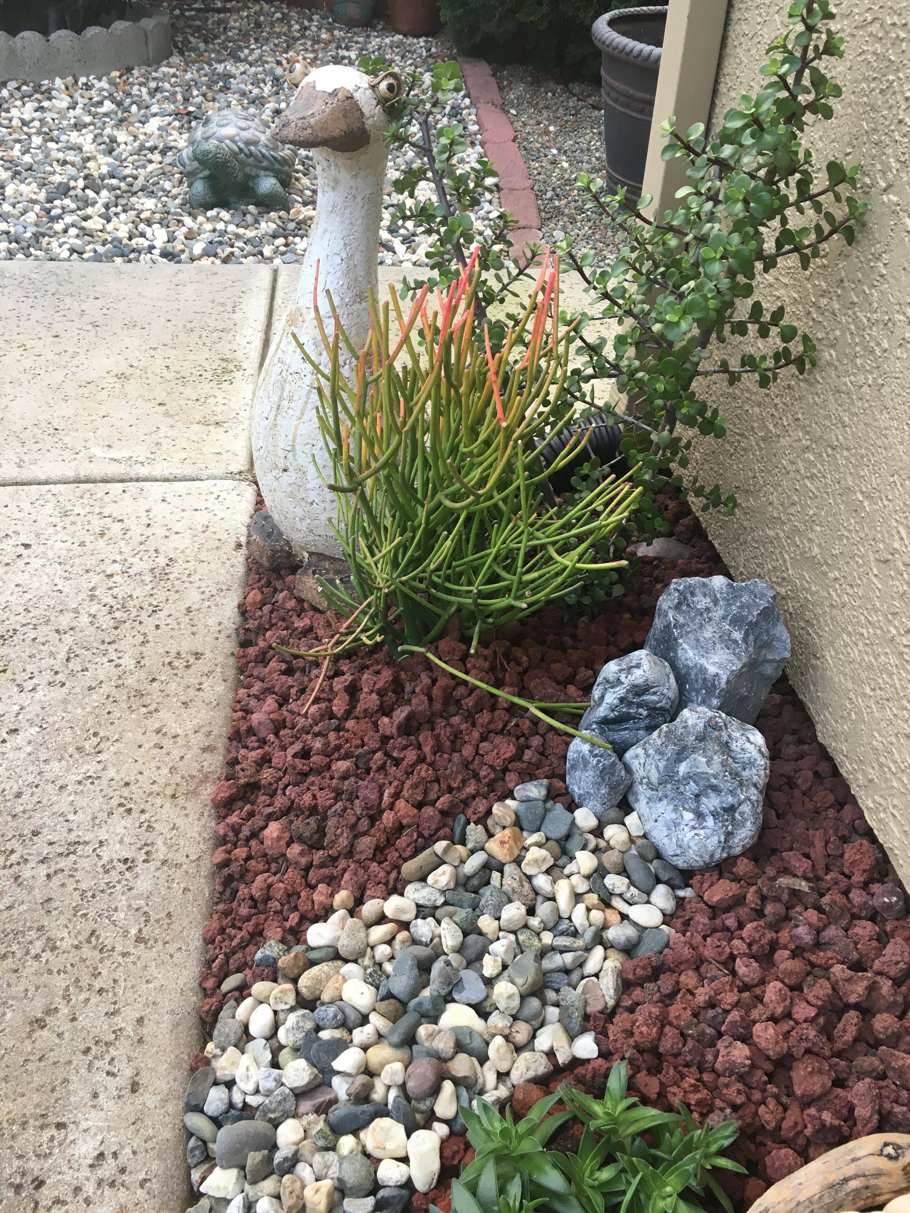 Pond And Patio Serenity Garden
