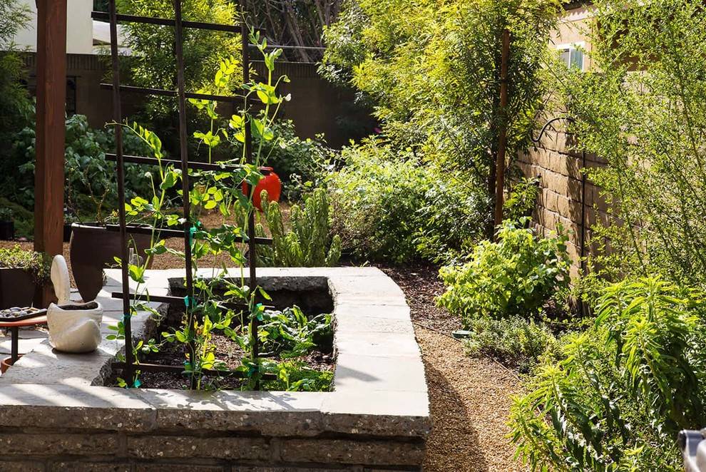 The Garden