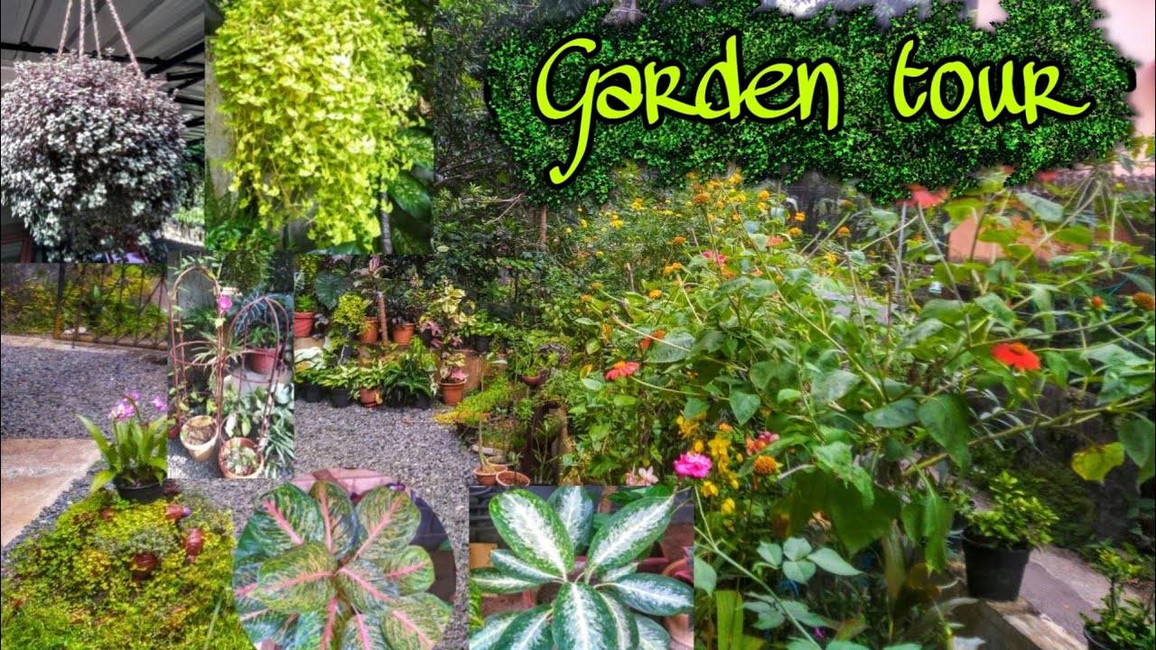 Ohio Backyard Garden Tour Backyard Garden