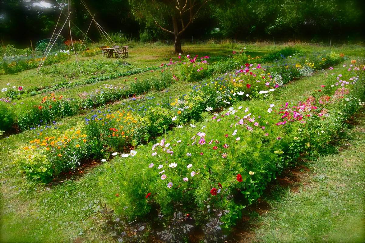 Flower Garden Design Ideas