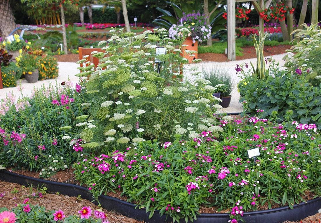 Flower Garden Ideas