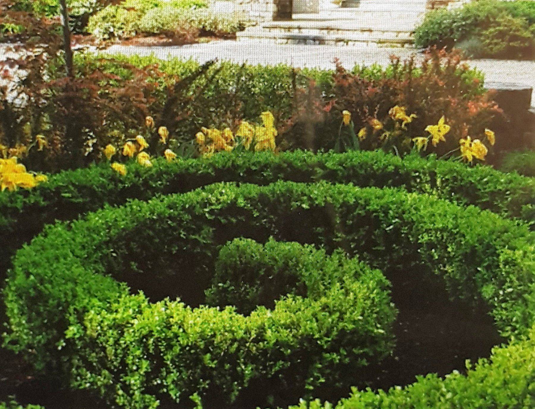Cutting Garden