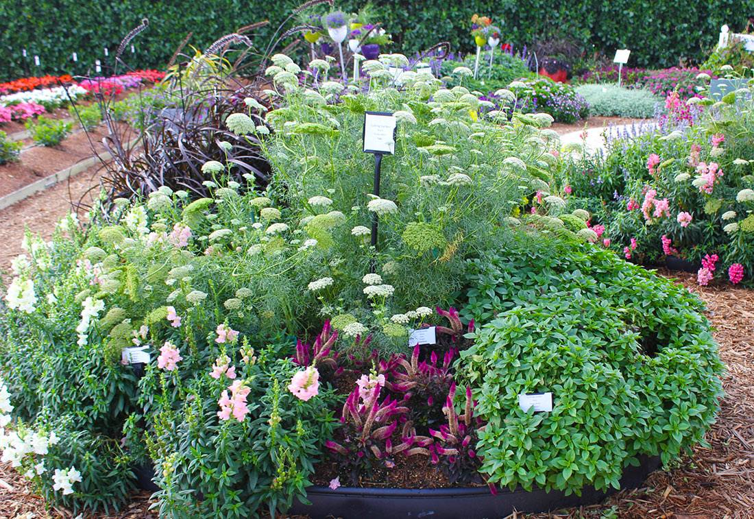 A Cutting Garden