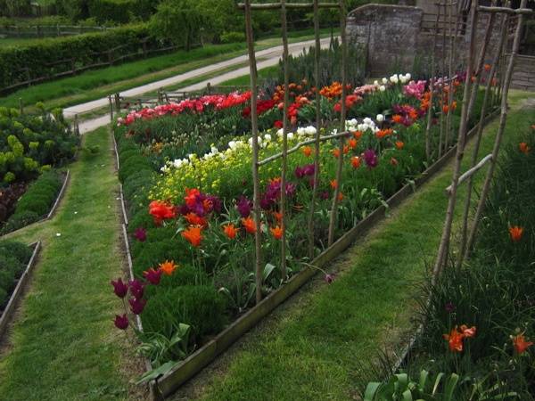 Raised Bed Cut Flower Garden Garden Design
