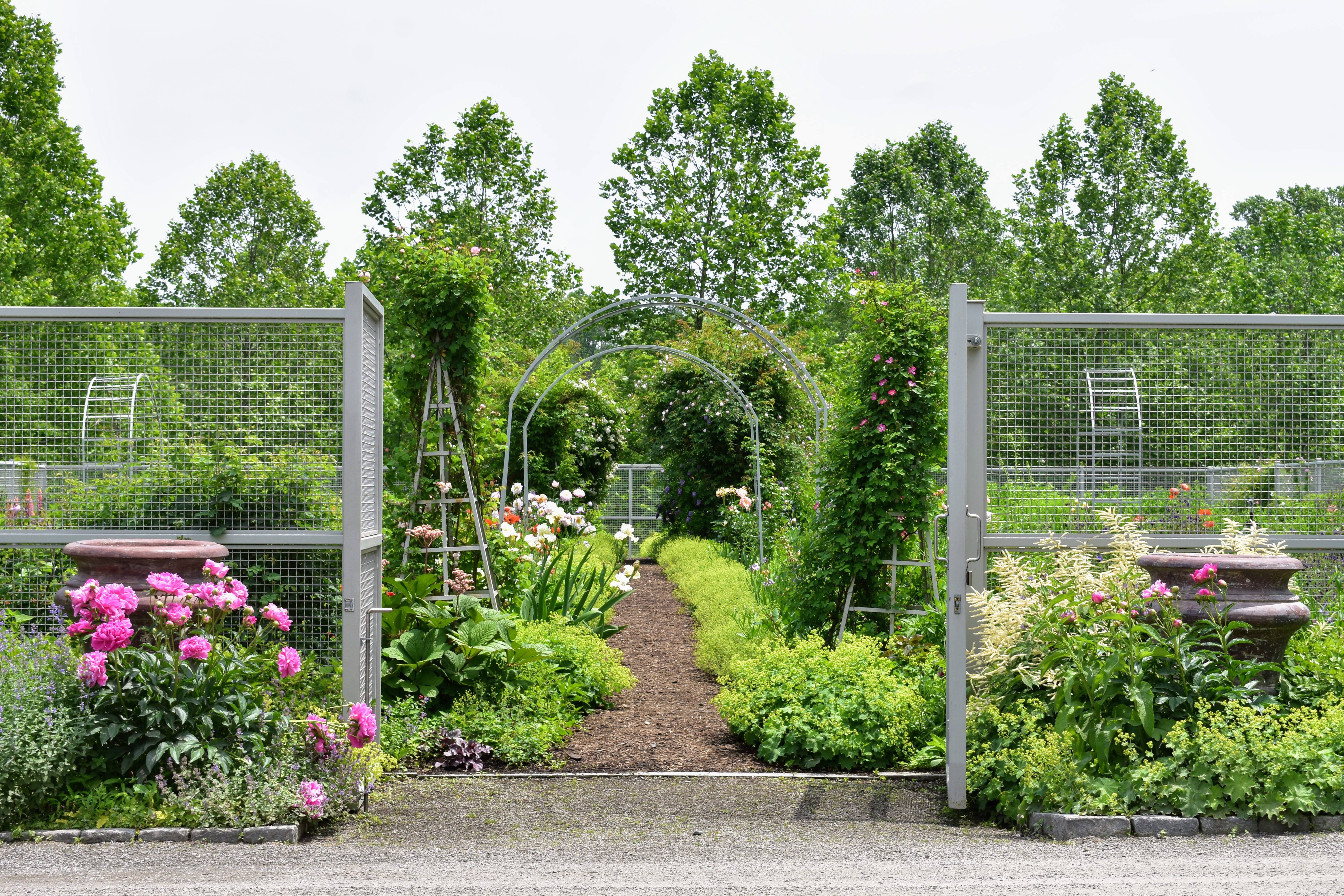 Small Backyard Idea Small Flower Gardens
