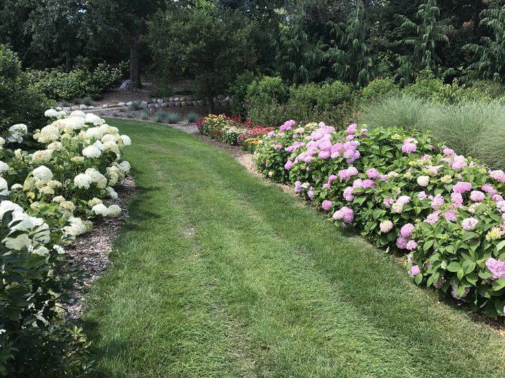 Impressive Green Garden Ideas